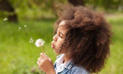 Blowing White Flower