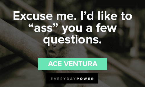 Witty Ace Ventura Quotes