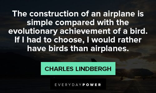 Airplane quotes about evolutionary achievement