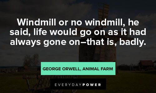 Animal Farm Quotes About Windmills
