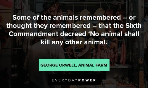 Animal Farm Quotes About Rules