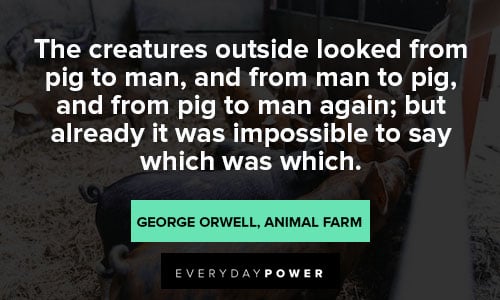 Animal Farm Quotes About Pigs