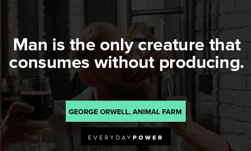 Animal Farm Quotes About Consuimg