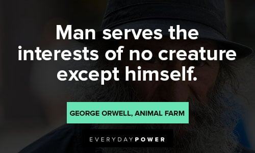 Animal Farm Quotes About Interests