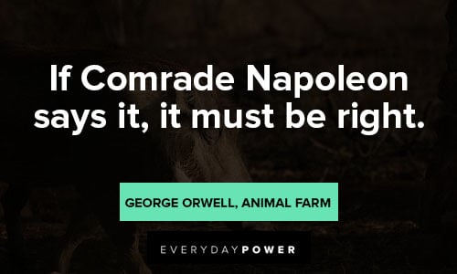 Animal Farm Quotes About Napoleon