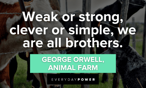 Animal Farm Quotes about brotherhood