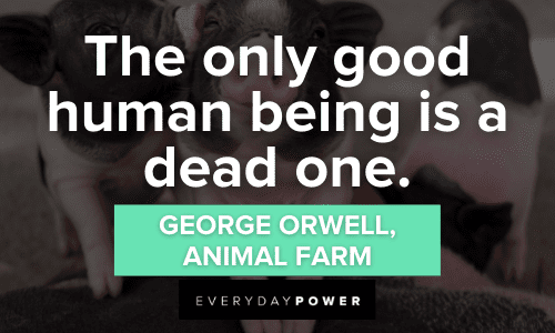 Animal Farm Quotes about human beings