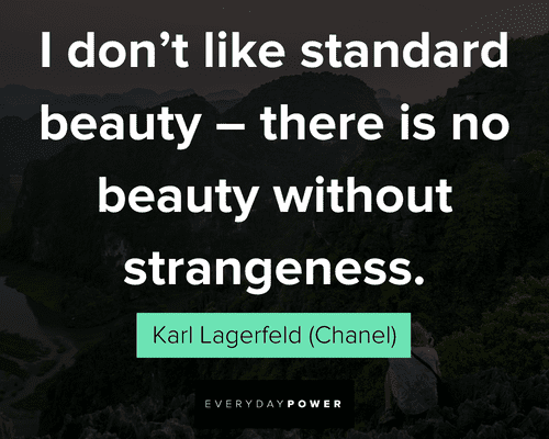 awesome quotes about standard beauty