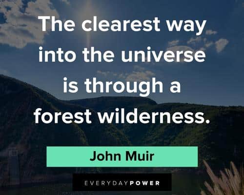 John Muir quotes that will inspire you to get out into the wilderness