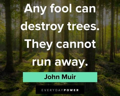 John Muir quotes