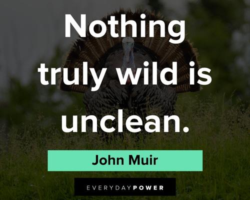 John Muir quotes