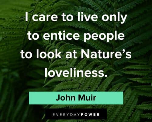 John Muir quotes