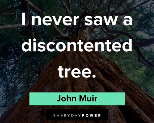 John Muir quotes