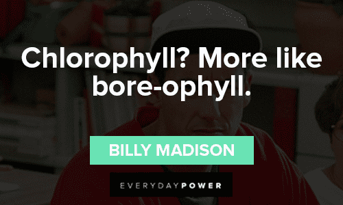 Funny Billy Madison Quotes