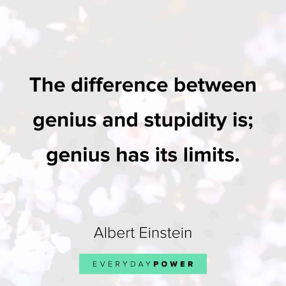 Funny inspirational quotes about stupidity