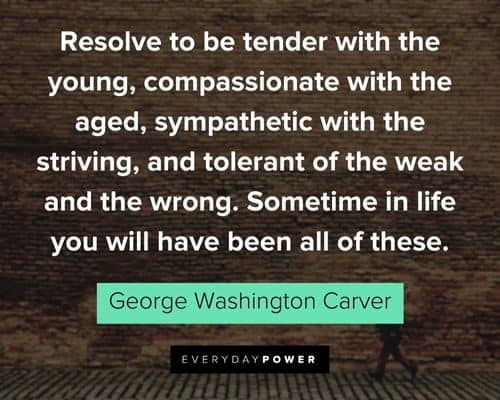 More George Washington Carver quotes on resolve to be tender with the young