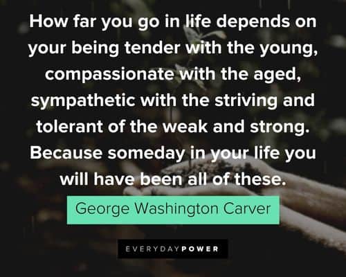 George Washington Carver quotes about life depends on your being tender with the young