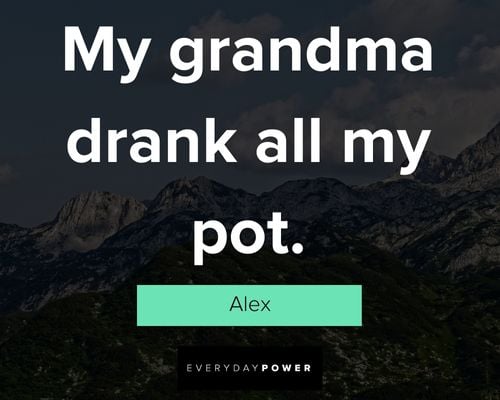 Grandma’s Boy quotes about my grandma drank all my pot