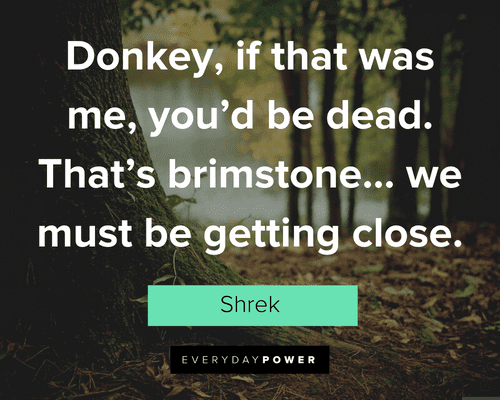 Shrek Quotes About Brimstone