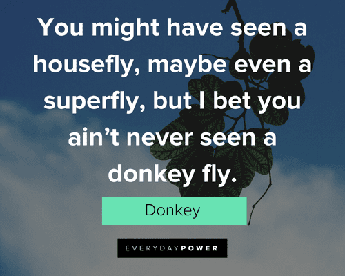 Shrek Quotes About Donkey Fly