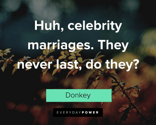 Shrek Quotes About Celebrity Marriages