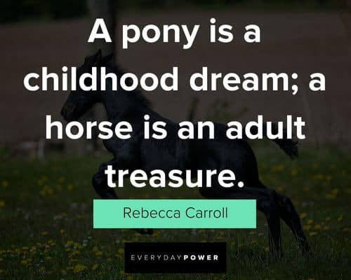 horse quotes about a pony is a childhood dream