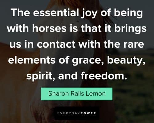 horse quotes about the essential joy of being with horses