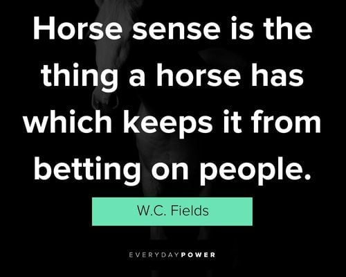 random horse quotes