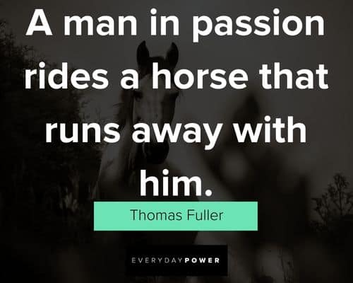 best horse quotes