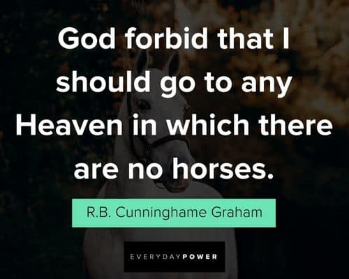 horse quotes about God forbit that should go to any heaven