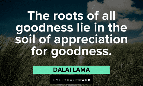 Dalai Lama Quotes and sayings