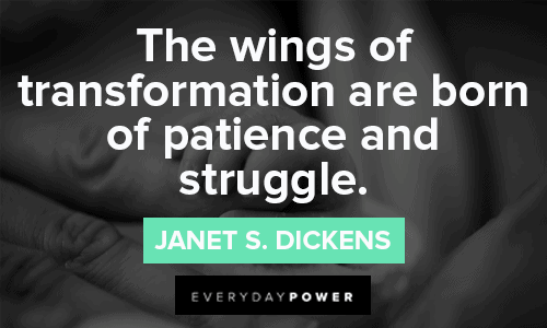 Life Transformation Quotes About Patience and Struggle