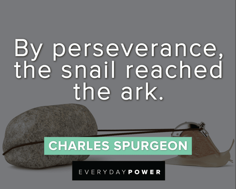 Motivational Quotes For Students About Perseverance