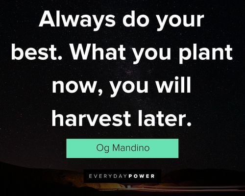 og mandino quotes about always do your best