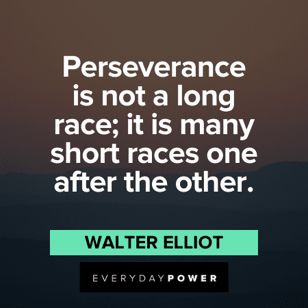 wise perseverance quotes