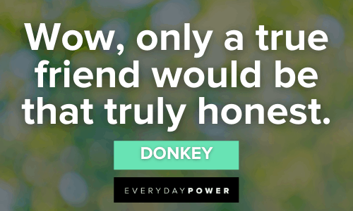 Shrek Quotes about true friends