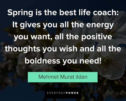 cool spring quotes