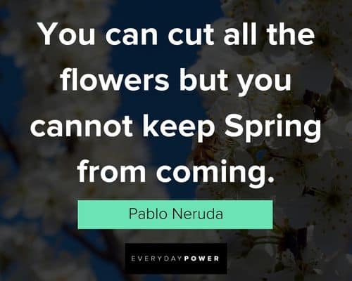 wise spring quotes
