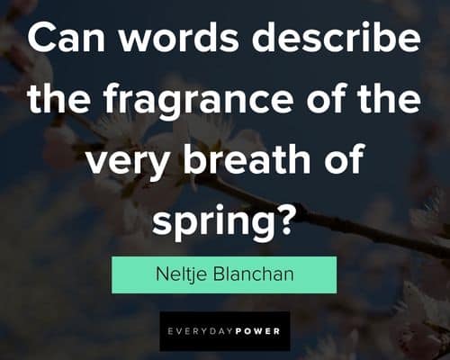 spring quotes to motivate you