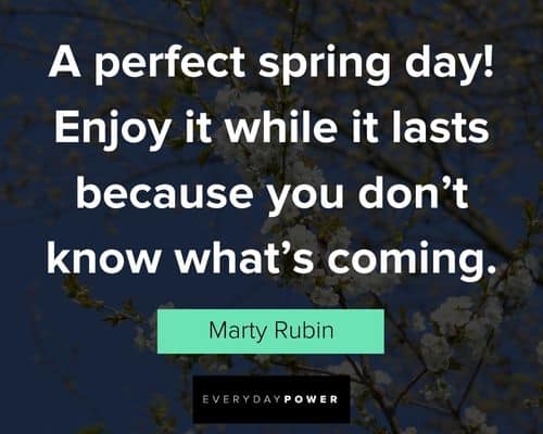 positive spring quotes