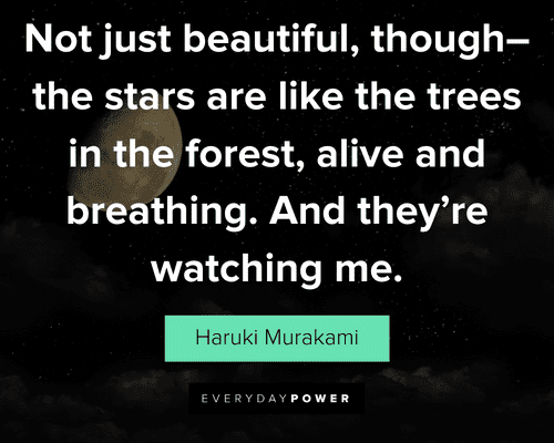 star quotes about the stars are like the trees in the forest, alive and breathing