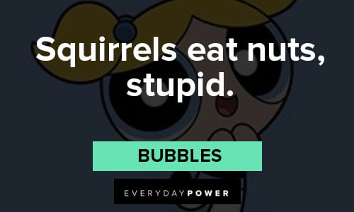 The Powerpuff Girls quotes about squirrels eat nuts, stupid