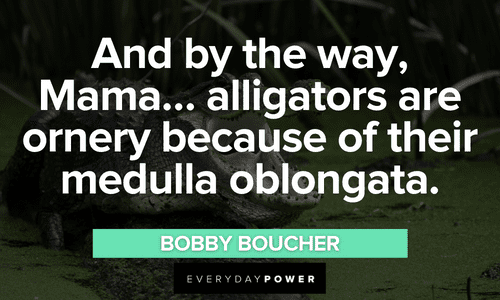The Waterboy quotes from Bobby Boucher