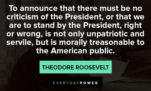 theodore roosevelt quotes to announce that there must be no criticism of the president