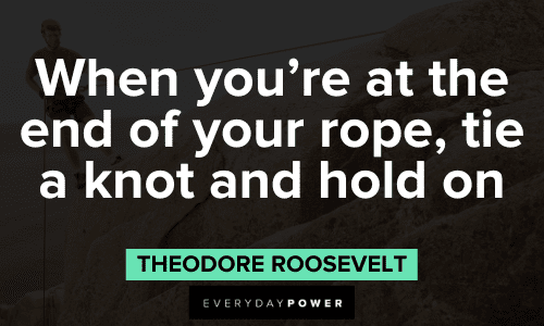 Theodore Roosevelt Quotes about perseverance