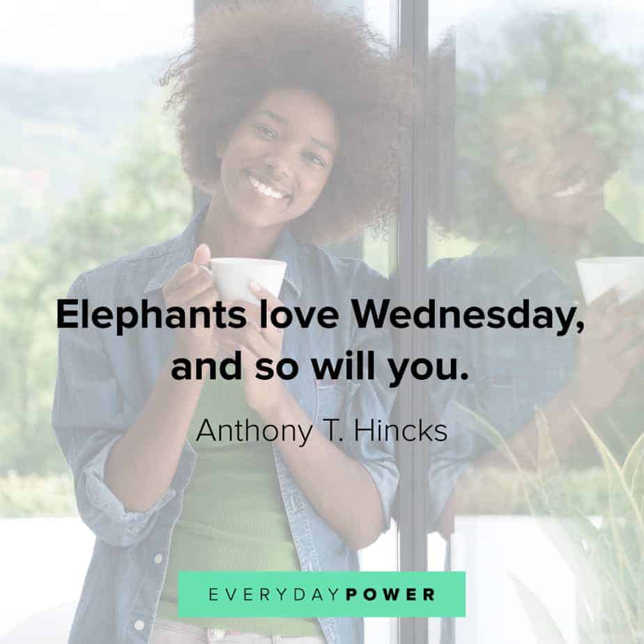 Wednesday Quotes on why you should love it